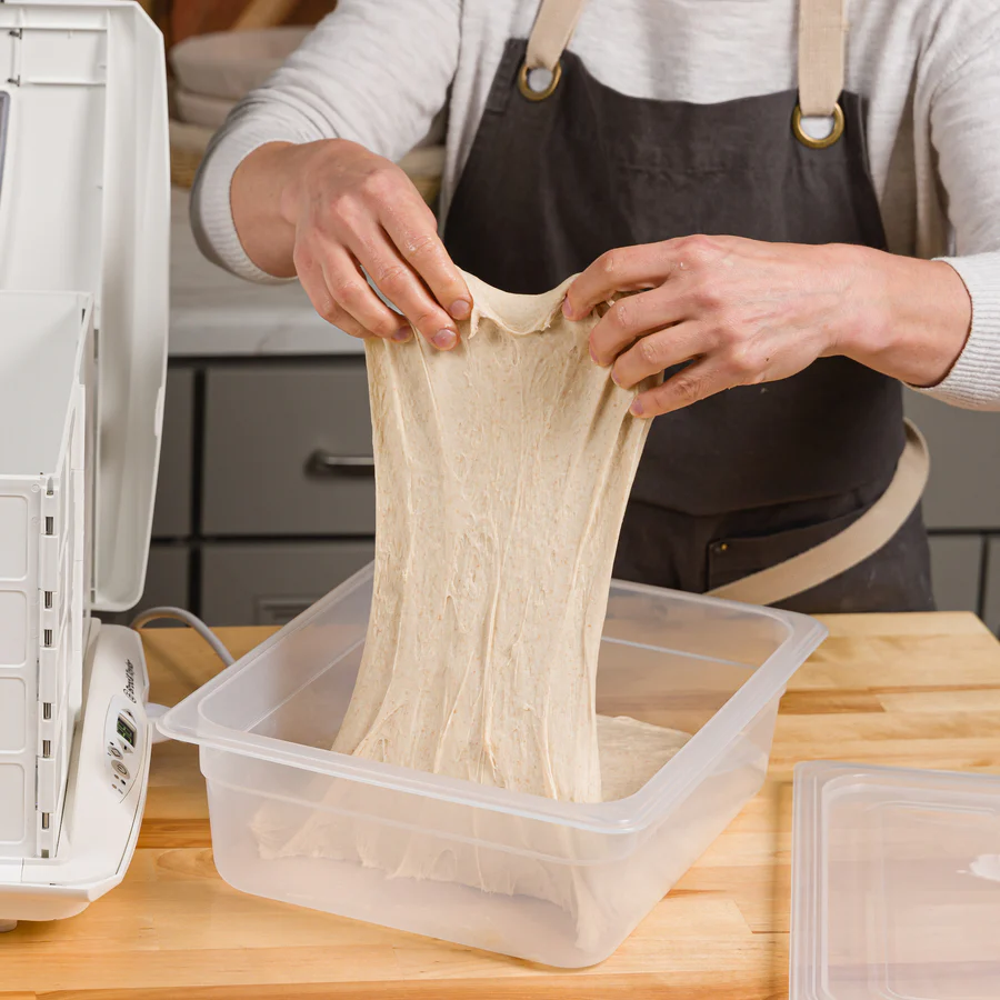 6 Qt Proofing Container by Brød & Taylor