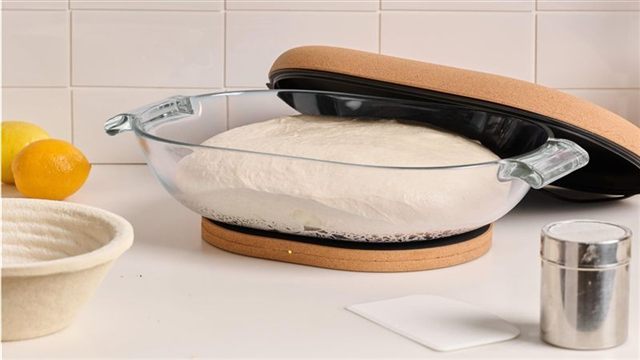 DoughBed by Sourhouse
