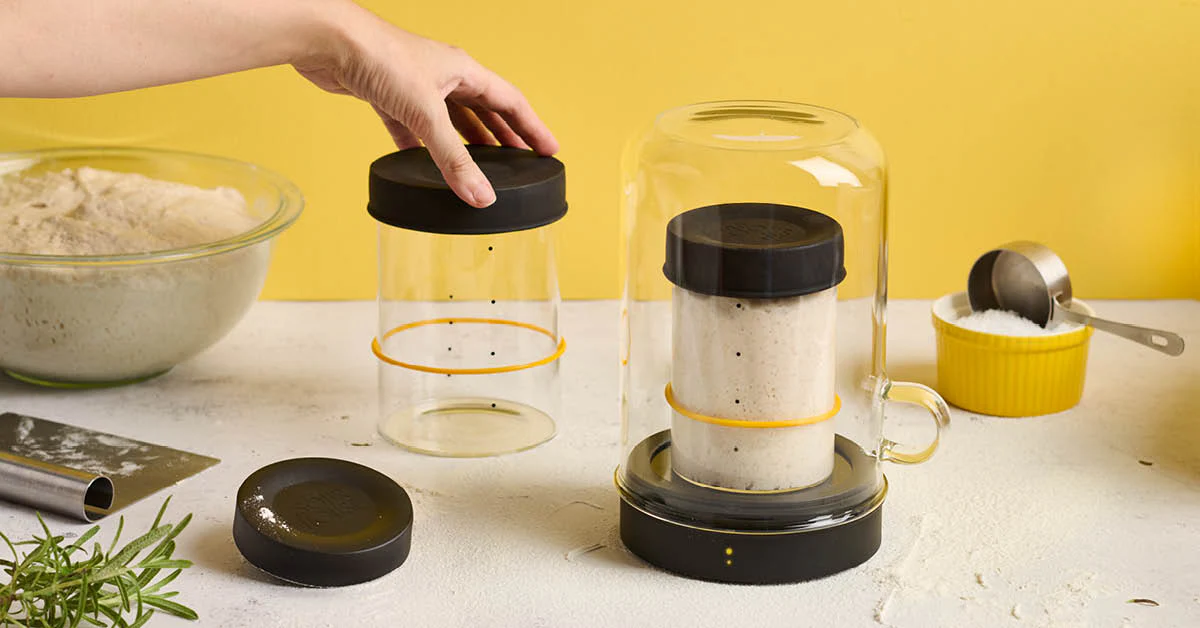 Goldie Starter Warmer by Sourhouse