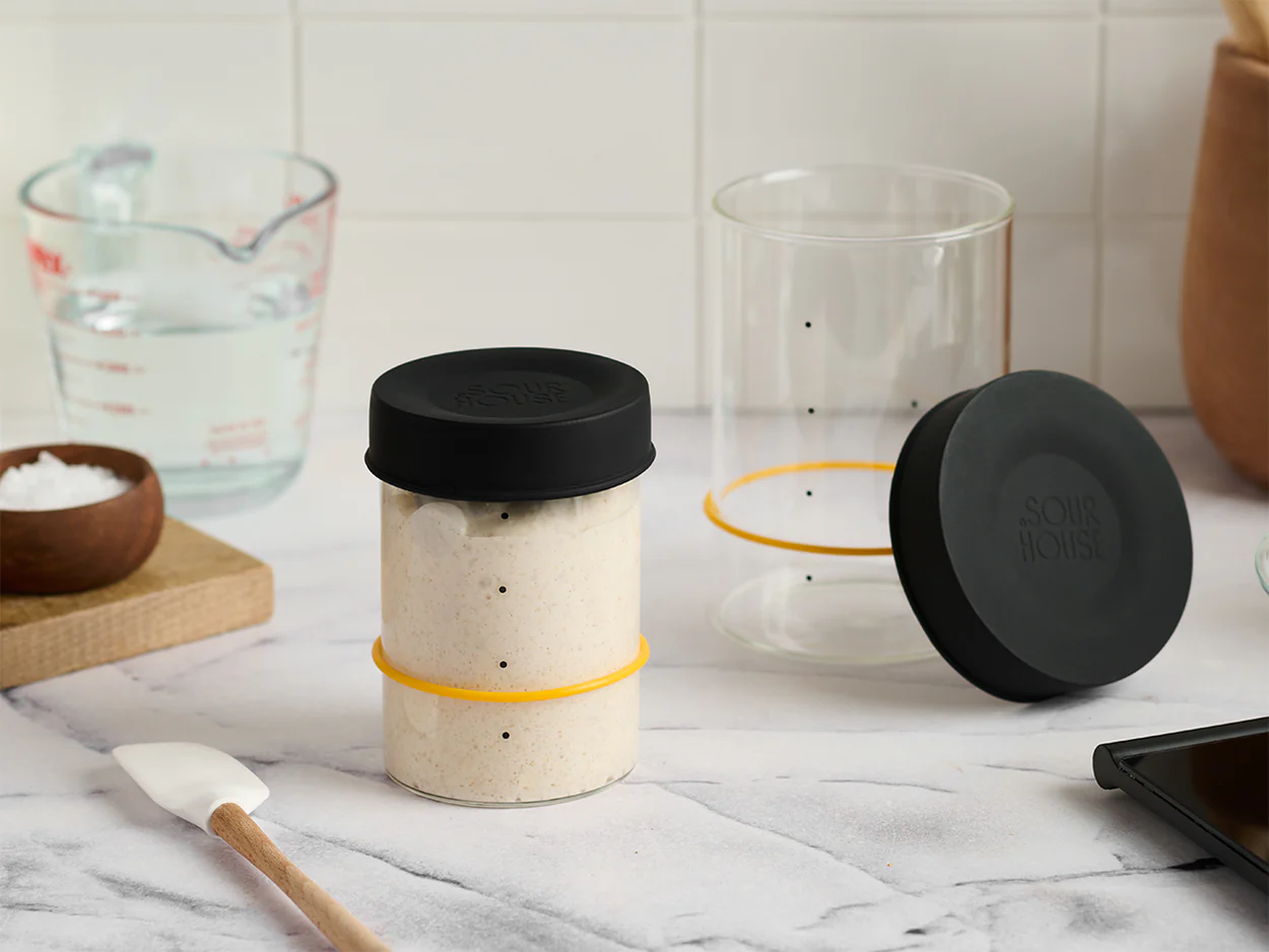 Starter Jars (Pint or Quart) by Sourhouse